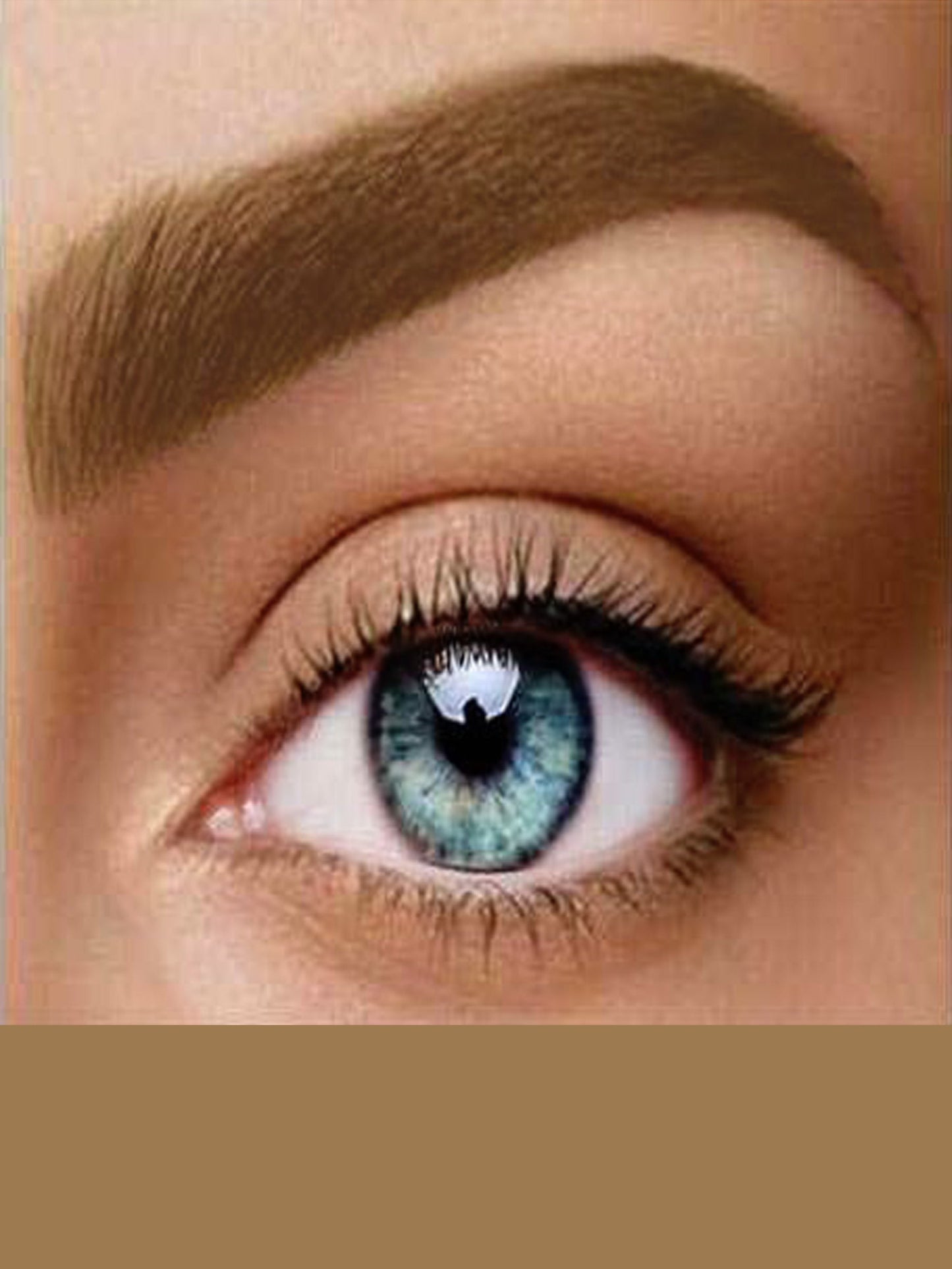 Baume Coloration Sourcils Ulyxa |Édition Limité| - ULYXA