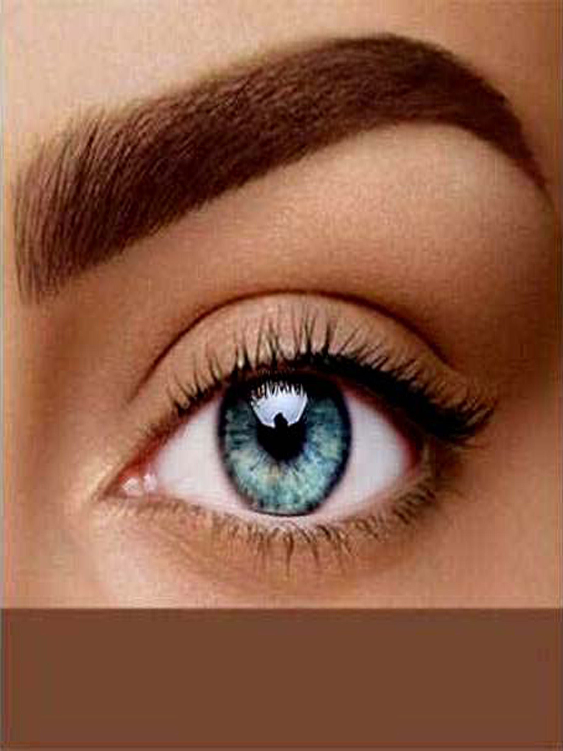 Baume Coloration Sourcils Ulyxa |Édition Limité| - ULYXA